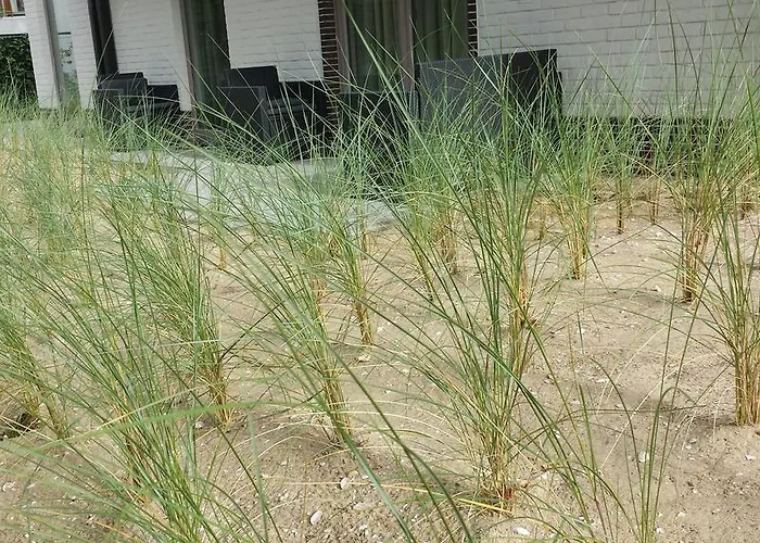 招待所 Vindina 德帕内