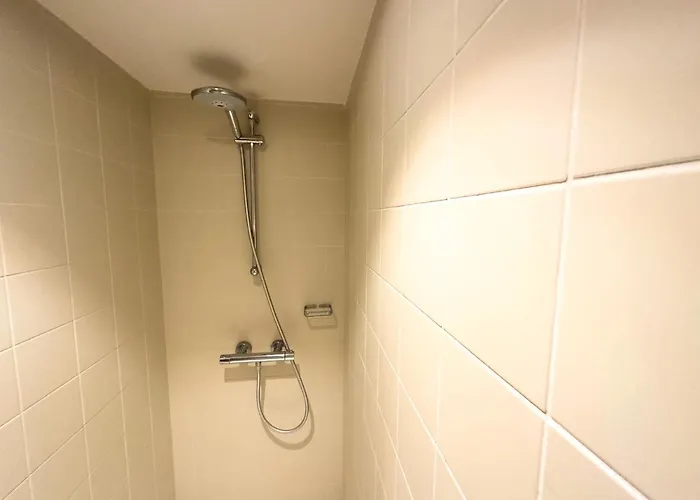 招待所 Vindina 德帕内